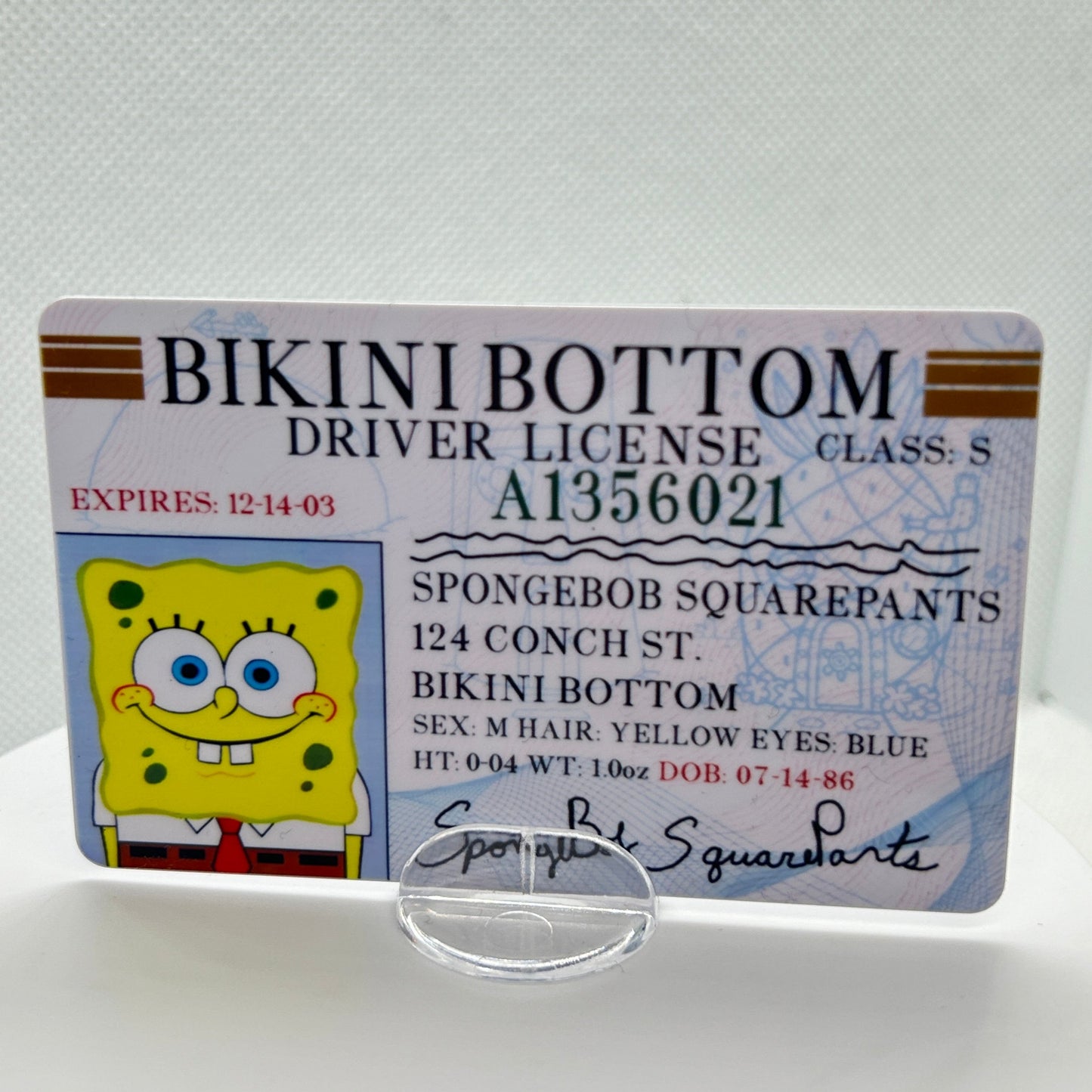 SpongeBob SquarePants Driver License