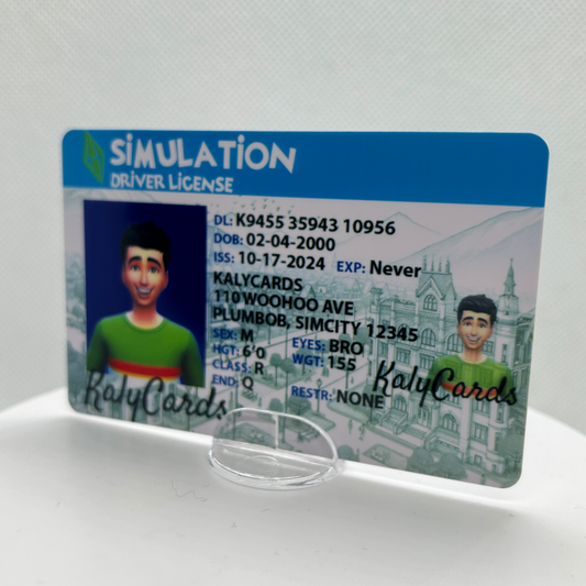 The Sims Driver License