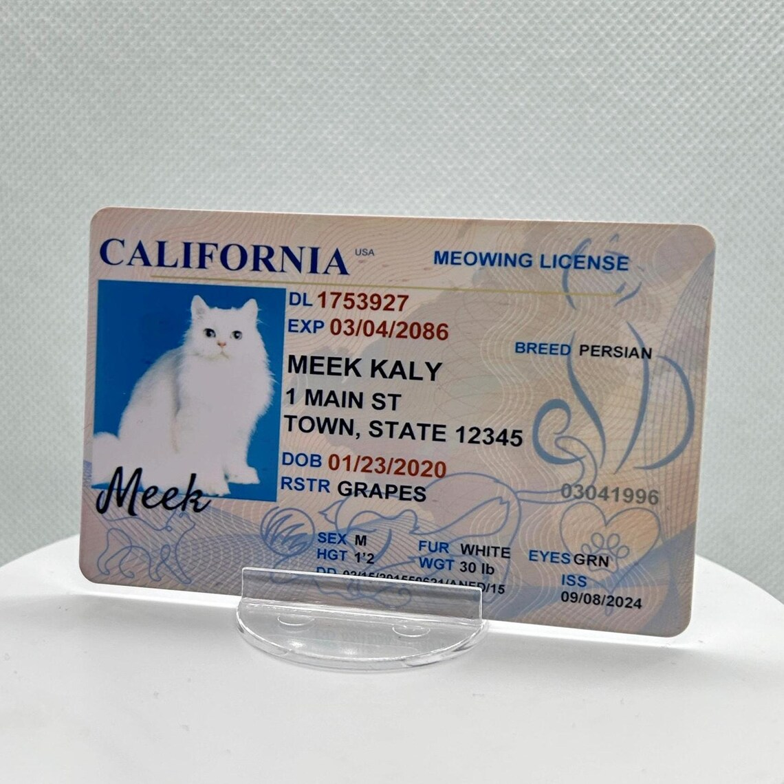 Customized Pet Driver License