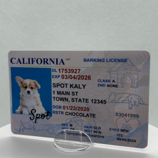 Dog Custom Driver License